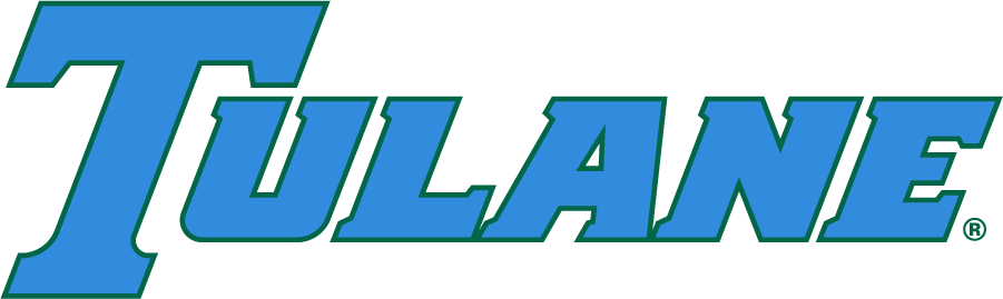 Tulane Green Wave 2017-Pres Wordmark Logo iron on transfers for T-shirts